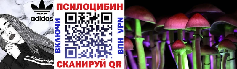где купить наркоту  Стародуб  Псилоцибиновые грибы Cubensis 